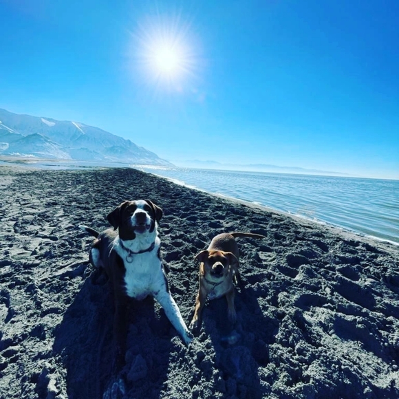 Meet your Posher, Pawnee - Picture 4 of 5